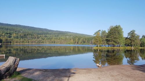 Scenic view of lake against clear blue sky