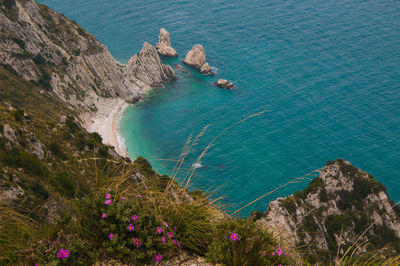 High angle view of rocks on sea shore