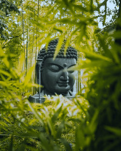 Close-up of statue against plants