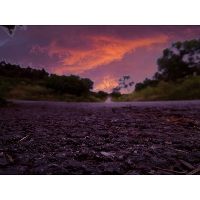 transfer print, sunset, sky, auto post production filter, tranquil scene, tranquility, surface level, the way forward, road, scenics, nature, beauty in nature, tree, cloud - sky, outdoors, landscape, no people, diminishing perspective, street, asphalt