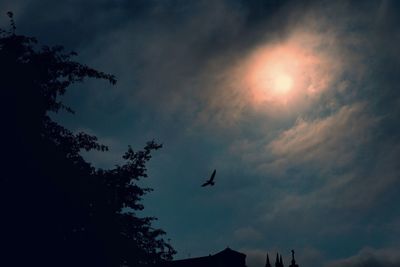 Low angle view of silhouette birds flying in sky