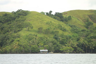 Scenic view of forest against sky