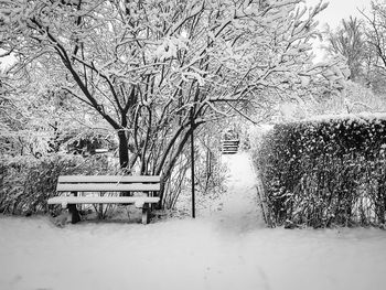 Empty bench in park during winter