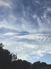 Low angle view of trees against sky