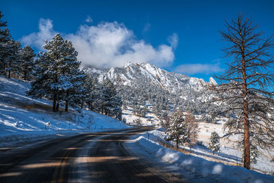 Snow covered road by trees against sky