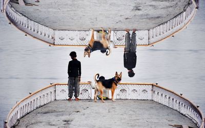 Rear view of people on bridge over water