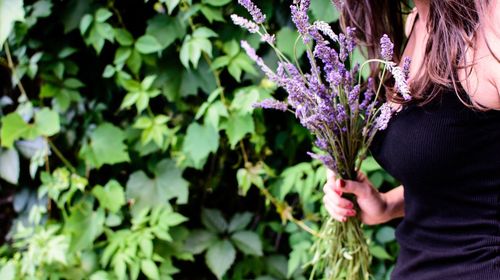 Woman standing on purple flowering plants