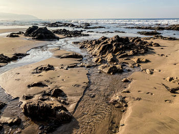 Scenic view of beach against sky