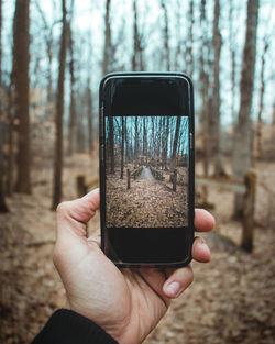 Close-up of hand holding mobile phone in forest