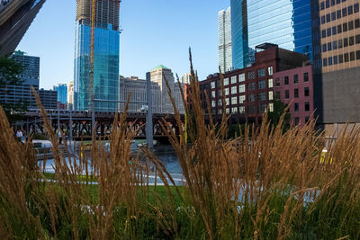 Canal amidst modern buildings in city against sky