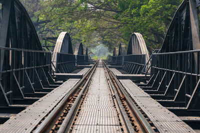 Railroad tracks along trees