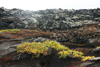 Scenic view of rocks on land against sky