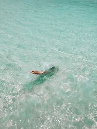 High angle view of person swimming in sea