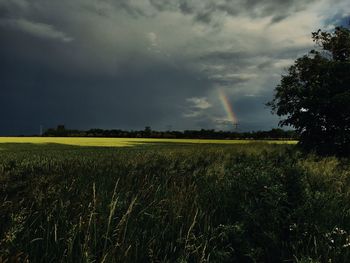 Scenic view of field against sky