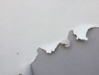 Close-up of broken wall