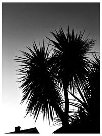 Low angle view of silhouette palm trees against clear sky