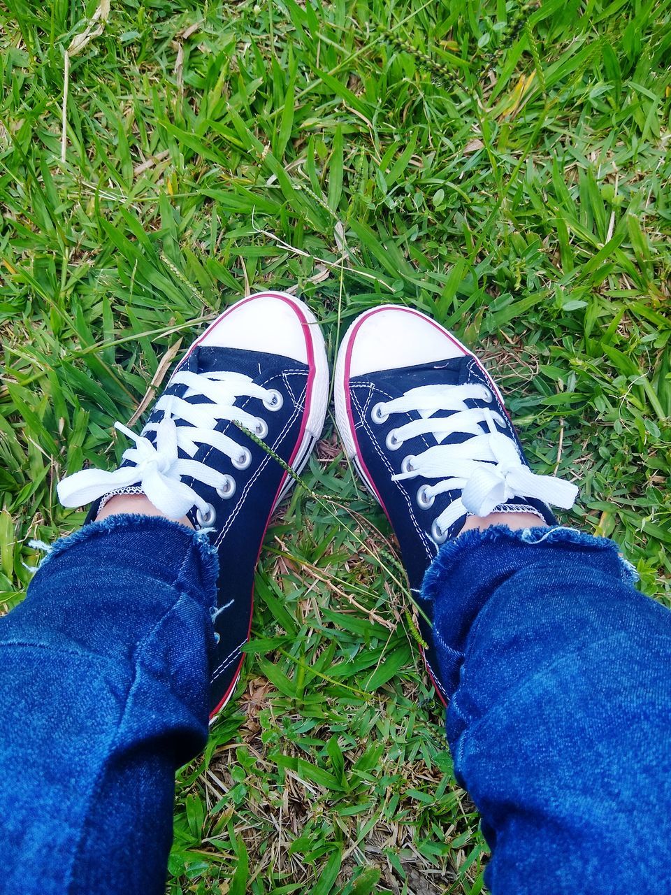 LOW SECTION OF PERSON WEARING SHOES ON GRASS
