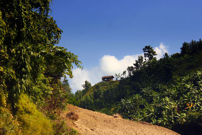 nature