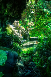 Statue amidst trees in forest