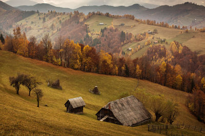 High angle view of trees on field during autumn