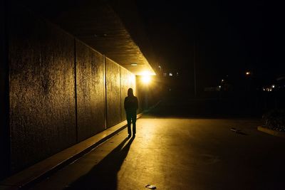 Silhouette person standing on illuminated street