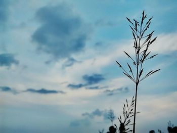 Low angle view of bare tree against cloudy sky