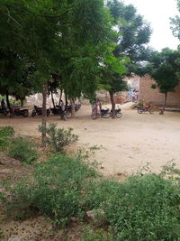 Group of people on road against trees