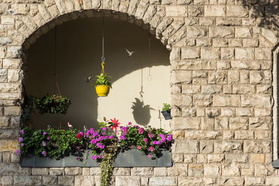 The yellow flowerpot with sparrows on sunny day