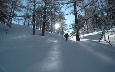 Man skiing on snow covered landscape