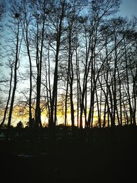 Silhouette of bare trees against sky at sunset