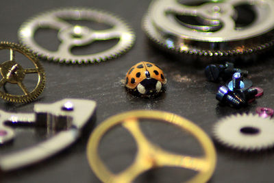 Close-up of watch mechanics and a ladybug