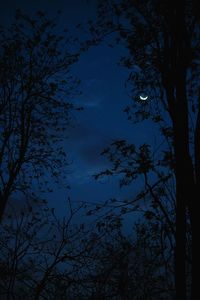 Low angle view of silhouette tree against sky at night