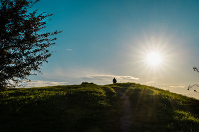 Scenic view of field against bright sun