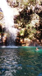 Scenic view of waterfall in forest