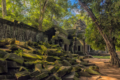 Old ruin amidst trees and building