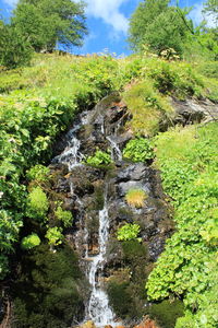 Scenic view of waterfall