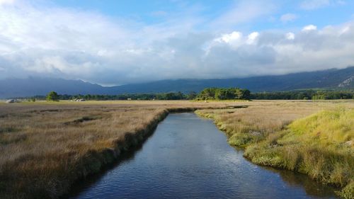 Stream amidst grassy field against cloudy sky