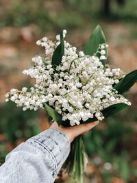 Close-up of hand holding white flowering plant