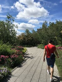Rear view of man walking on footpath by plants against sky
