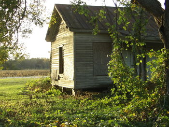 House on field