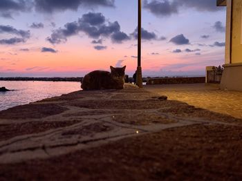 Scenic view of beach against sky during sunset