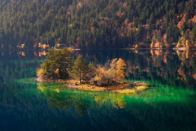 Scenic view of lake in forest