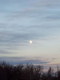 Scenic view of trees against sky