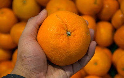 Close-up of hand holding orange fruit at market stall