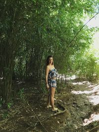 Portrait of smiling young woman standing in forest