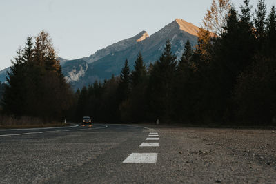 Surface level of road by trees against sky