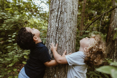 Boys looking up while hugging tree in forest