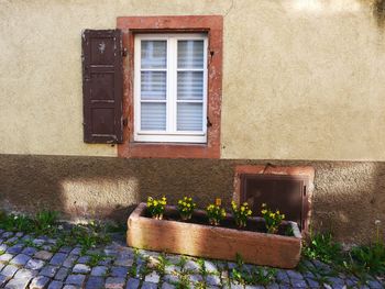 House window