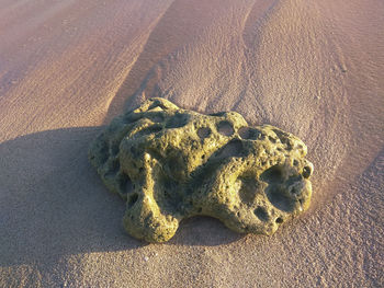 High angle view of sand on beach