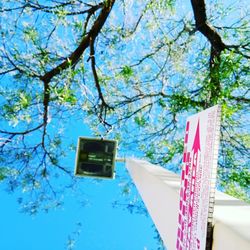 Low angle view of trees